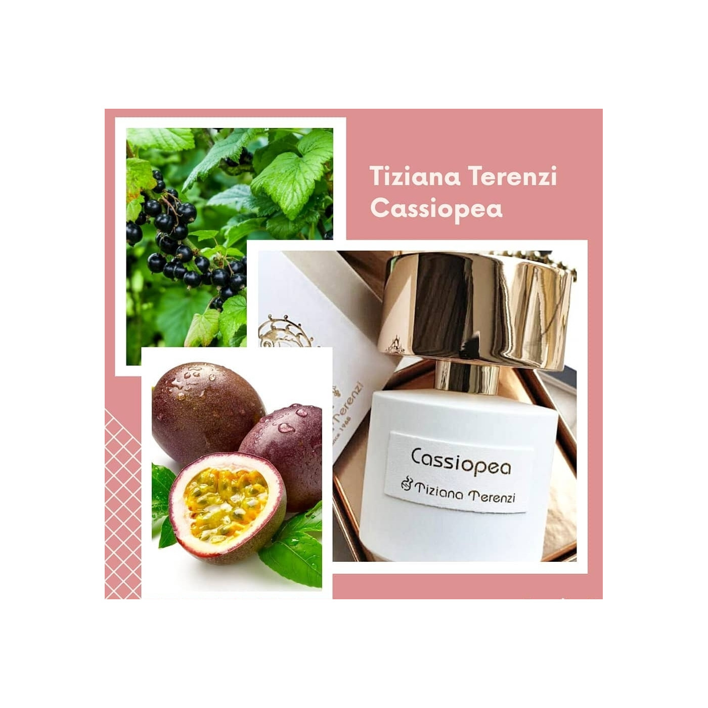 Cassiopea selling Tiziana Terenzi